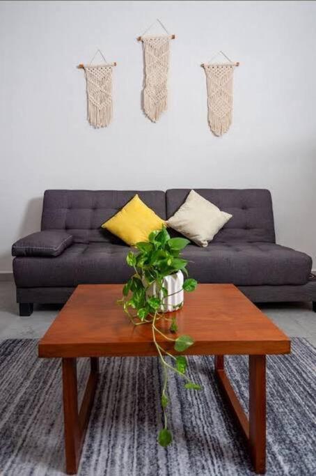 Apartamento Ocean View Xkaa